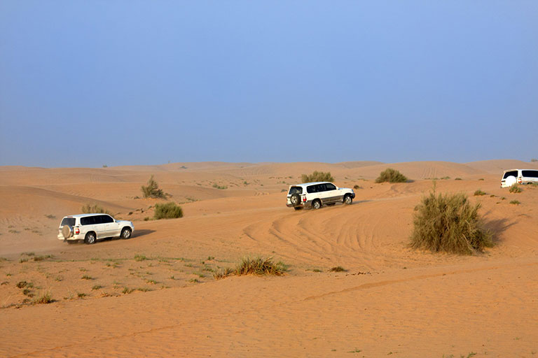 Risk Assessments King Safety & Security